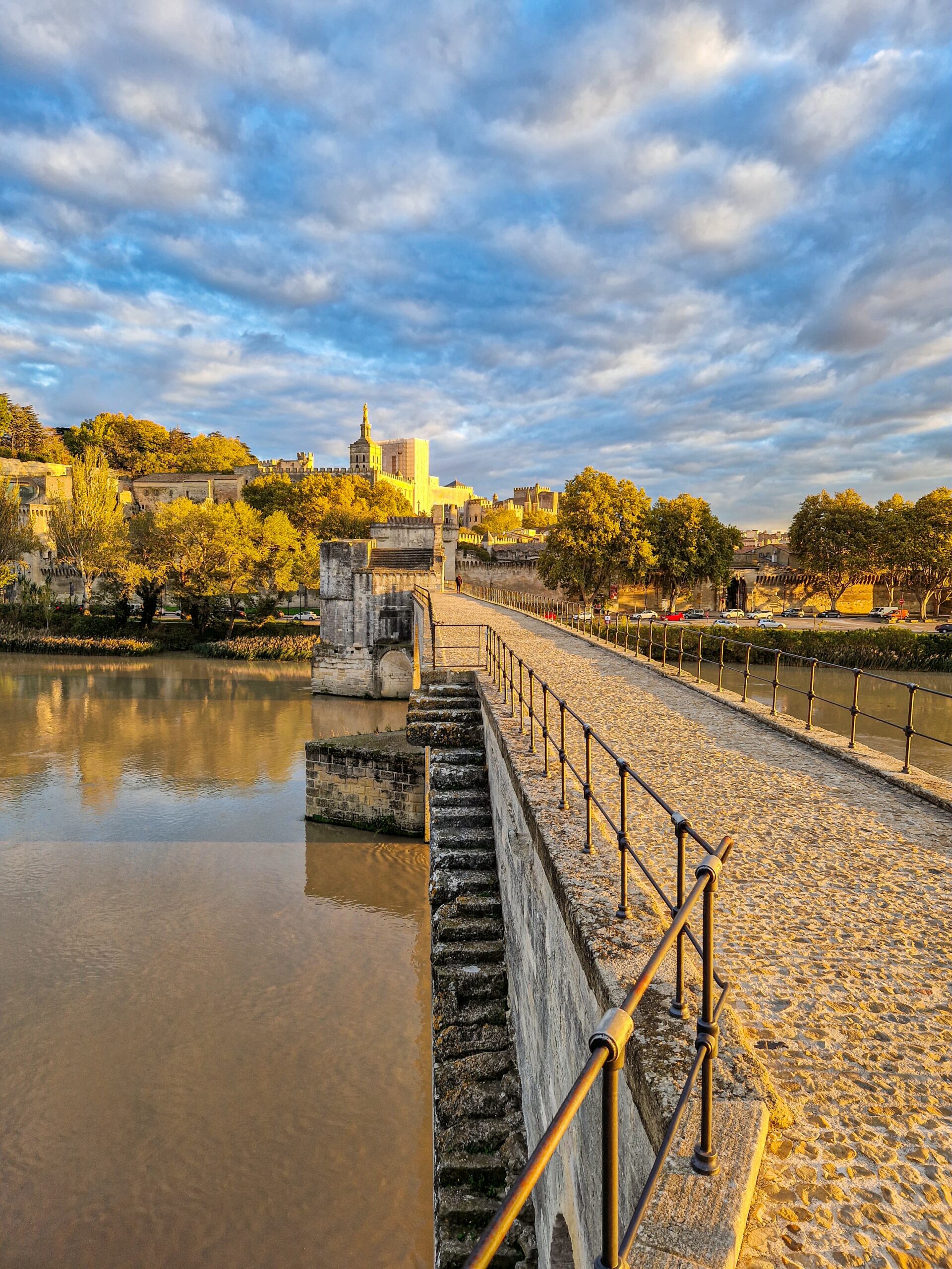 Vue du Palais et de Notre Dame des Doms depuis le Pont d'Avignon - Crédit photo : Julien Audigier