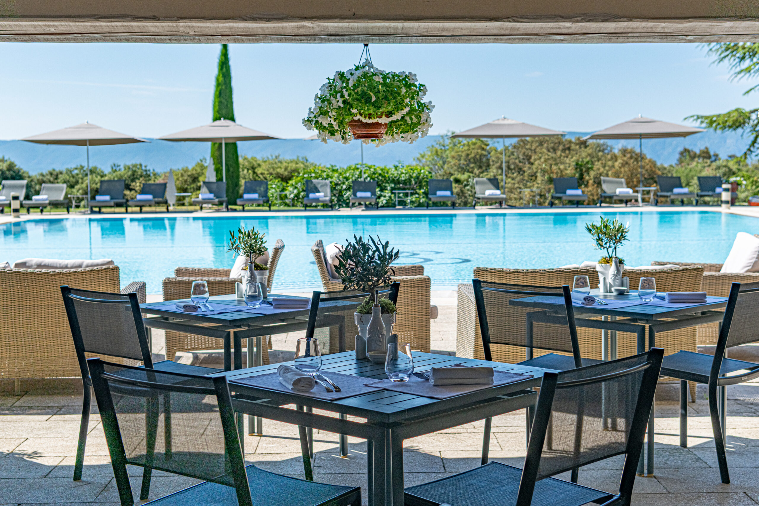 Terrace - Pool