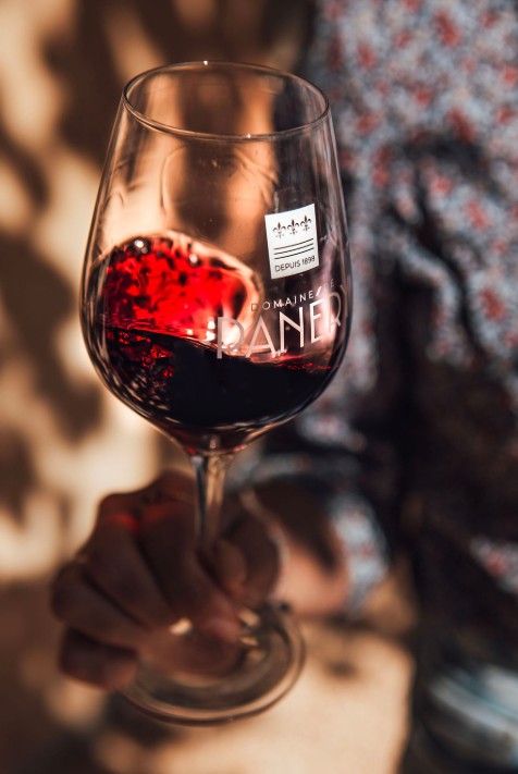 VIN - DOMAINE DE PANERY